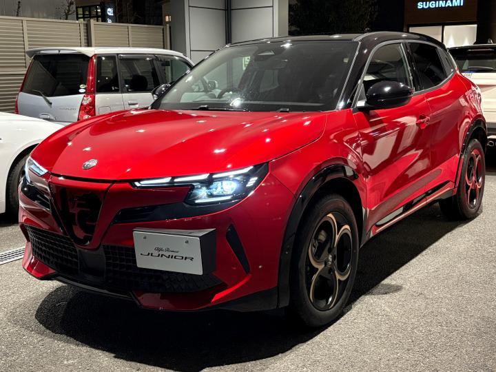 JUNIOR Ibrida INTENSA