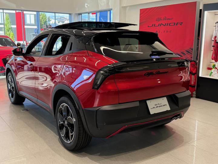 JUNIOR Ibrida SPECIALE