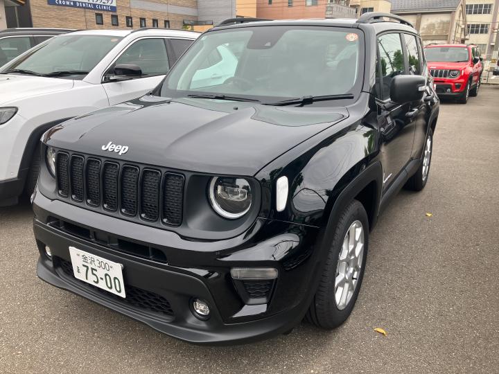Renegade Altitude e-Hybrid
