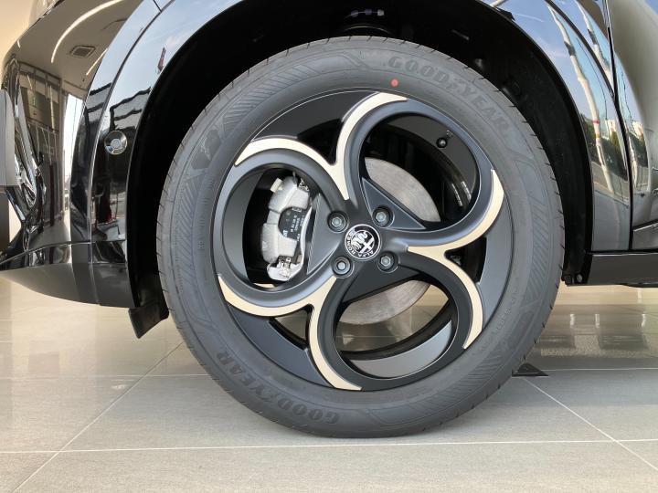 JUNIOR Ibrida INTENSA