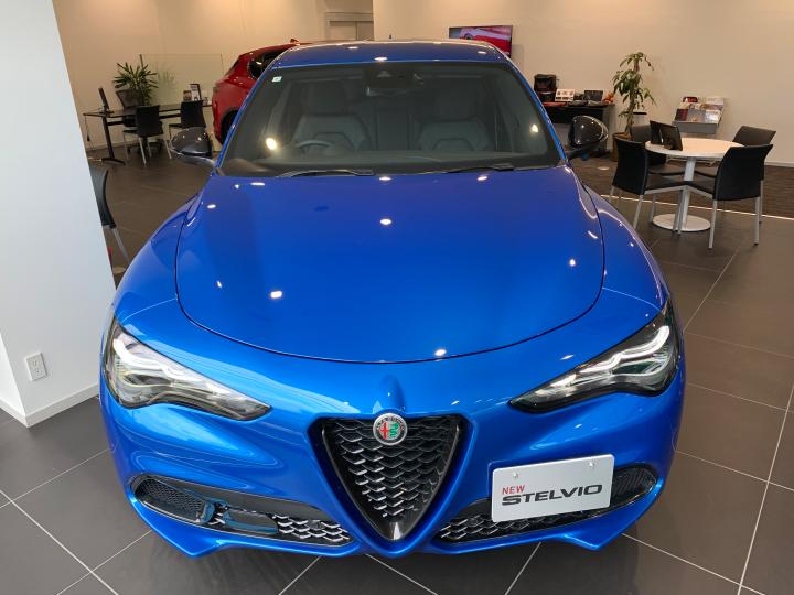 STELVIO 2.0 TURBO Q4 VELOCE