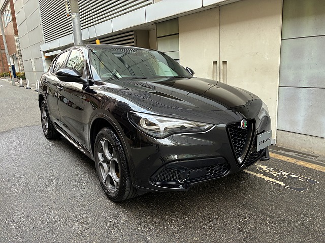 STELVIO 2.0 TURBO Q4 SPRINT