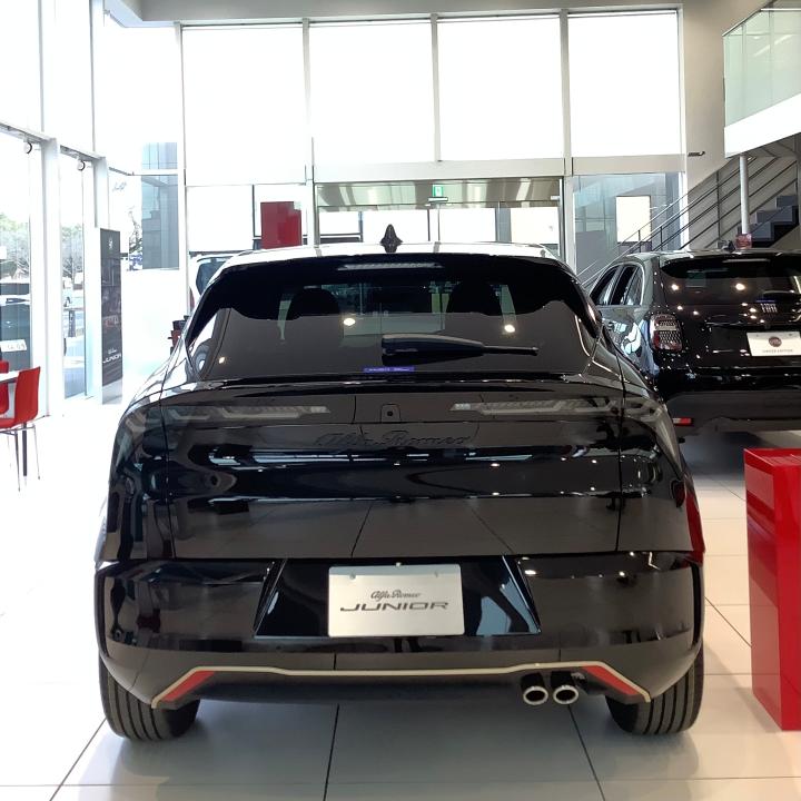 JUNIOR Ibrida INTENSA