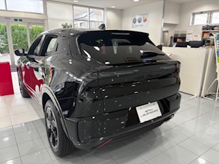 JUNIOR Ibrida PREMIUM