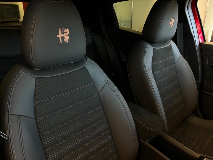 JUNIOR Ibrida INTENSA