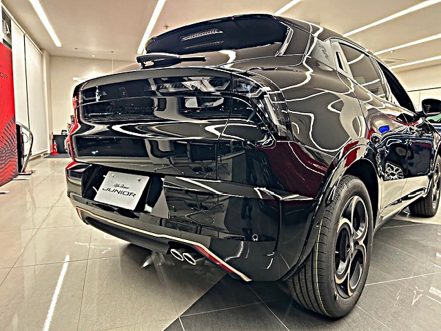 JUNIOR Ibrida INTENSA