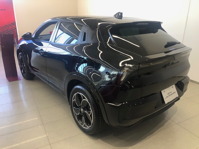 JUNIOR Elettrica PREMIUM