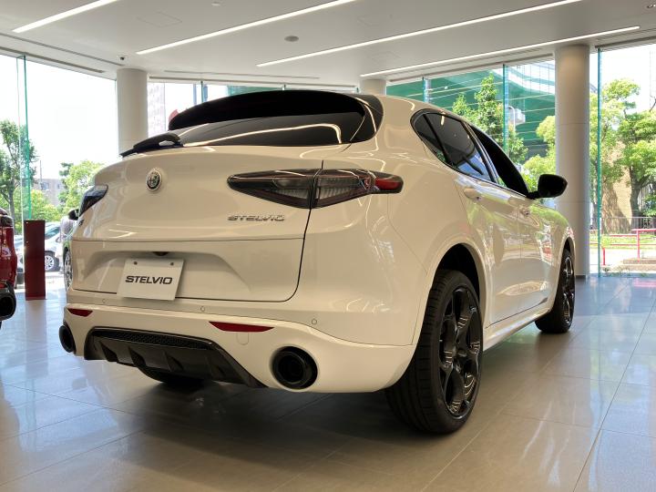 STELVIO TRIBUTO ITALIANO