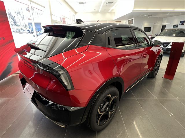 JUNIOR Ibrida INTENSA