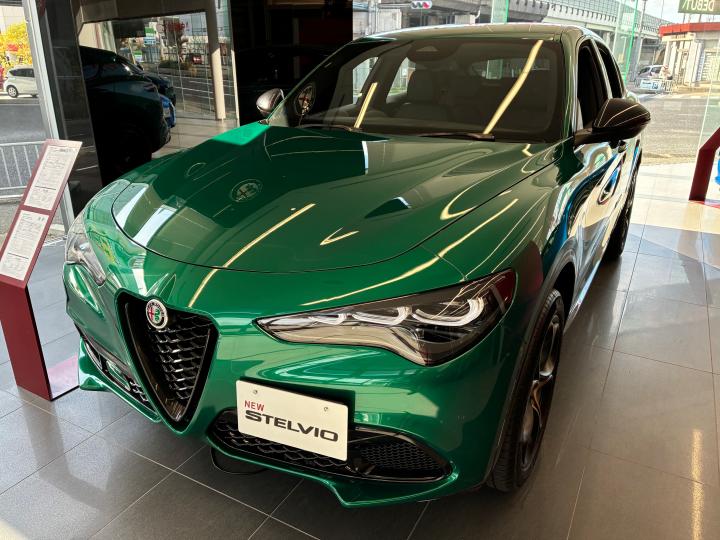 STELVIO 2.0 TURBO Q4 INTENSA
