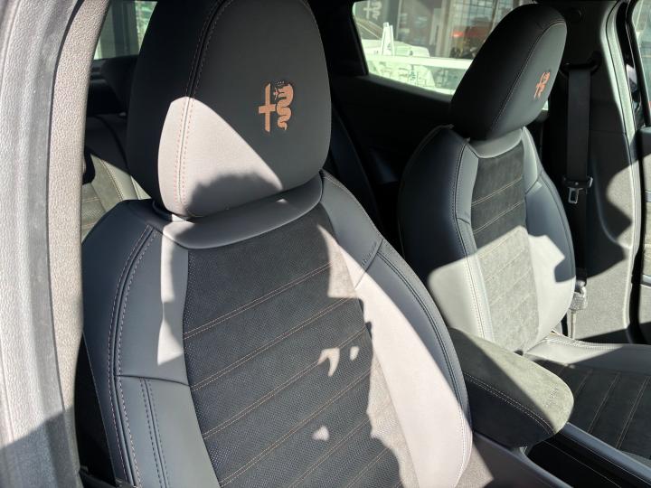 JUNIOR Ibrida INTENSA