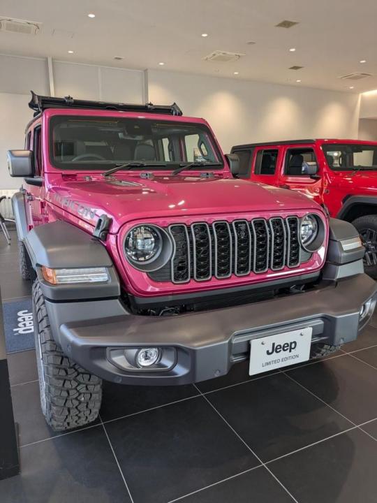 Wrangler（JL） Limited Edition with Sunrider Flip Top for Hardtop