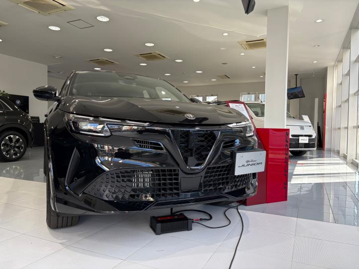 JUNIOR Ibrida INTENSA