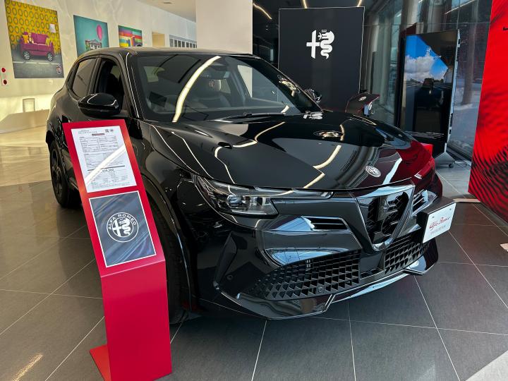 JUNIOR Ibrida INTENSA