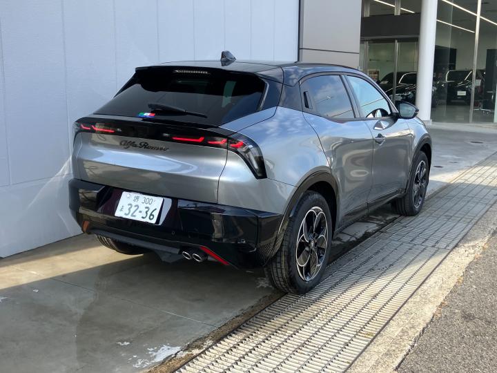 JUNIOR Ibrida PREMIUM