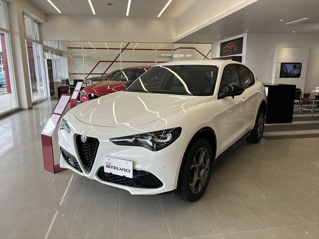 STELVIO 2.0 TURBO Q4 SPRINT
