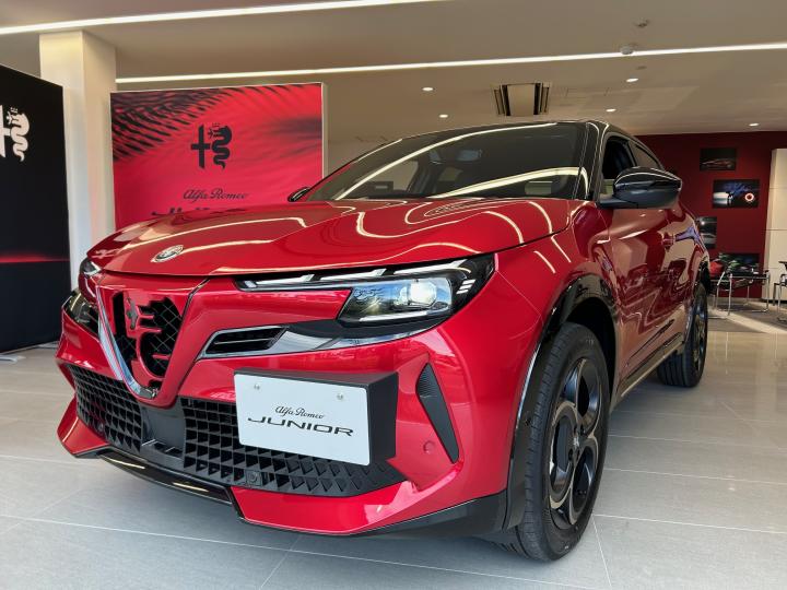 JUNIOR Ibrida INTENSA