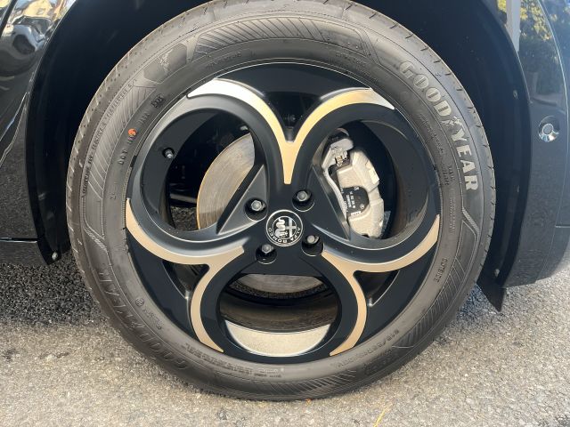 JUNIOR Ibrida INTENSA