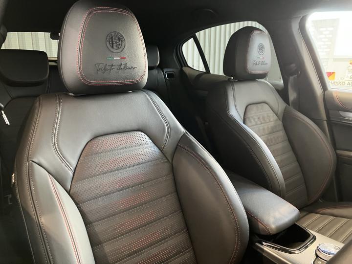 STELVIO TRIBUTO ITALIANO