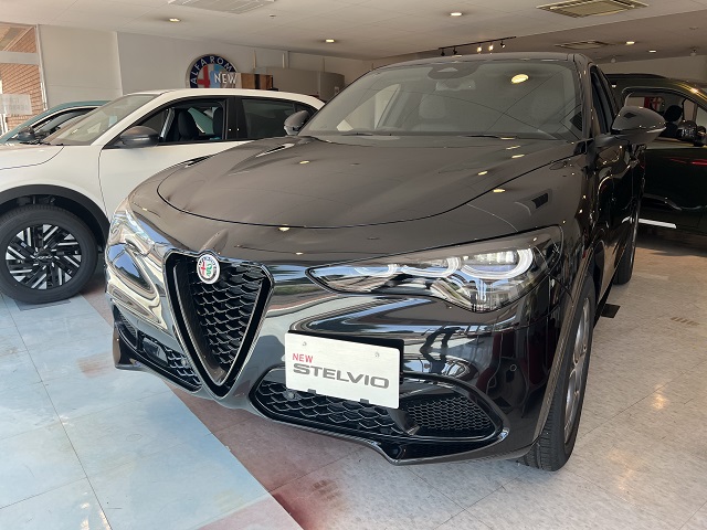 STELVIO 2.0 TURBO Q4 SPRINT