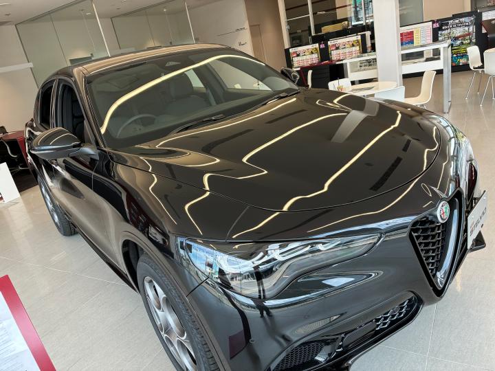 STELVIO 2.0 TURBO Q4 SPRINT