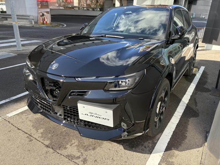 JUNIOR Ibrida INTENSA