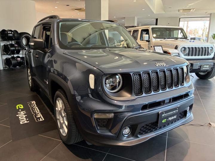 Renegade Altitude e-Hybrid