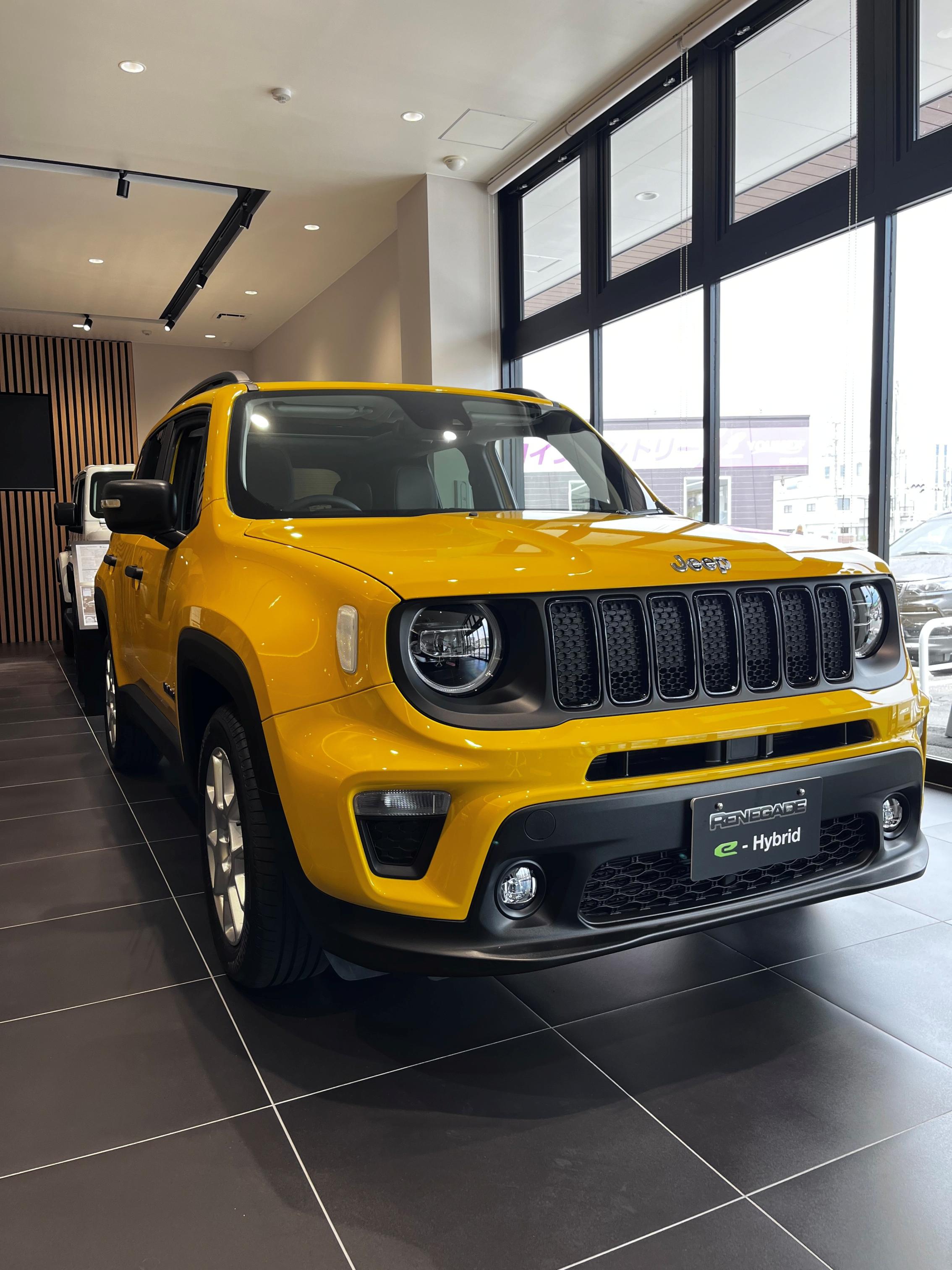Renegade Altitude e-Hybrid