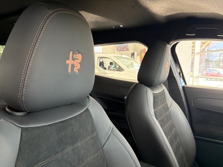 JUNIOR Ibrida INTENSA