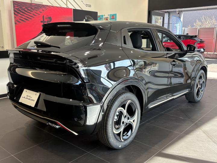 JUNIOR Ibrida INTENSA