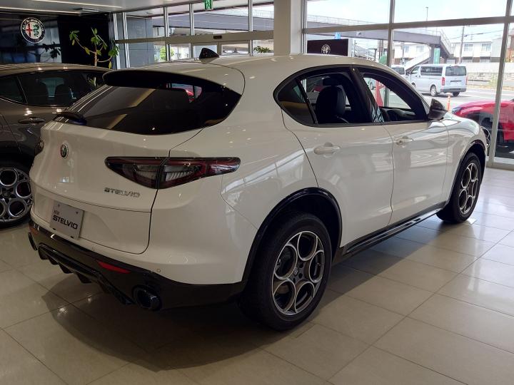 STELVIO 2.0 TURBO Q4 SPRINT