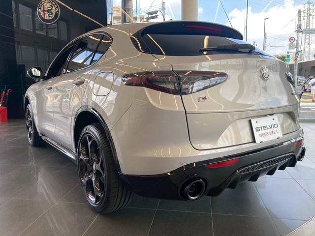 STELVIO 2.2 TURBO DIESEL Q4 VELOCE