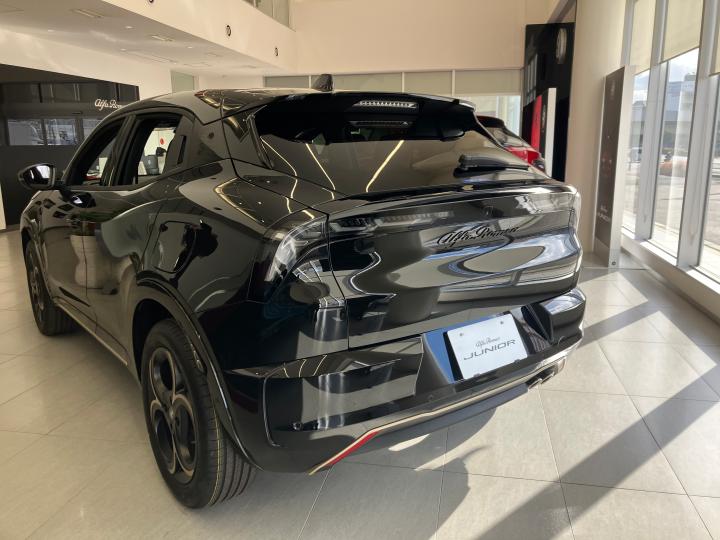 JUNIOR Ibrida INTENSA