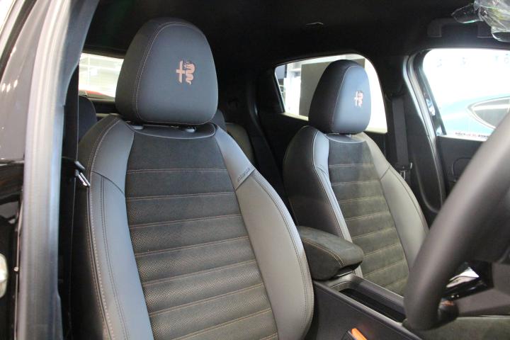 JUNIOR Ibrida INTENSA