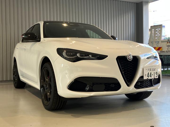 STELVIO TRIBUTO ITALIANO