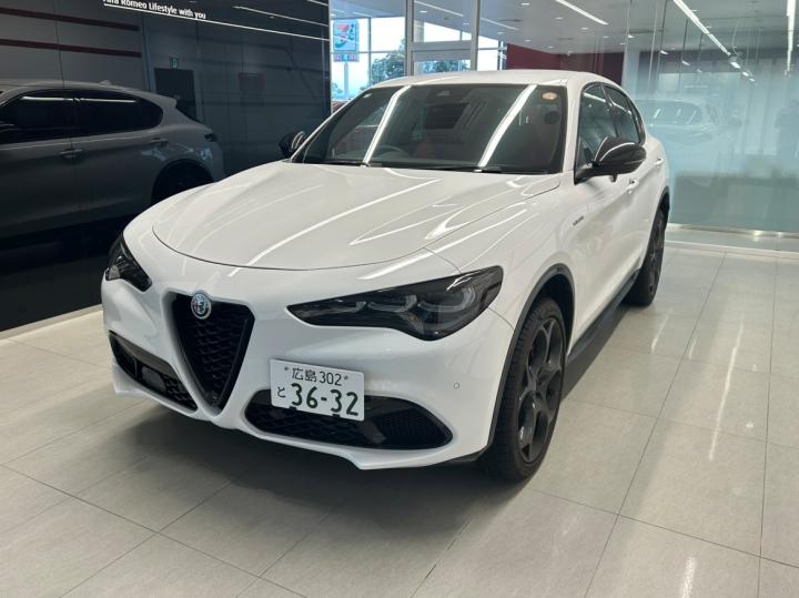 STELVIO 2.0 TURBO Q4 VELOCE