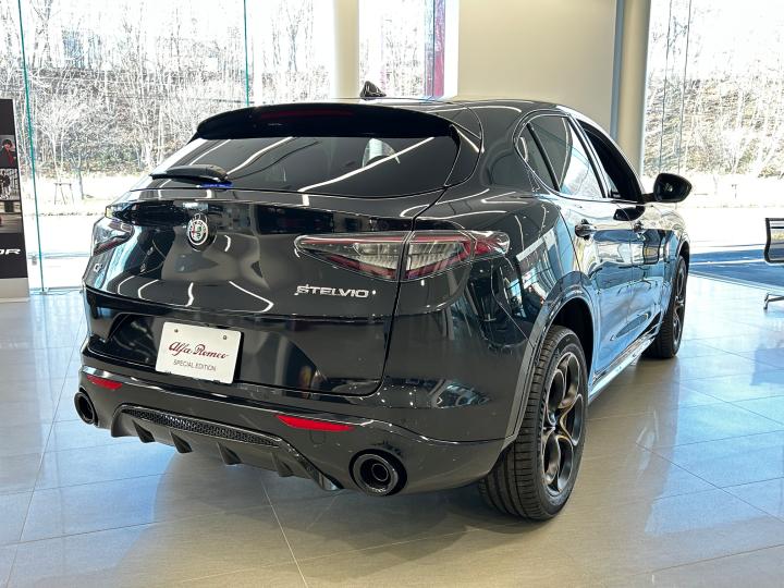 STELVIO 2.0 TURBO Q4 INTENSA