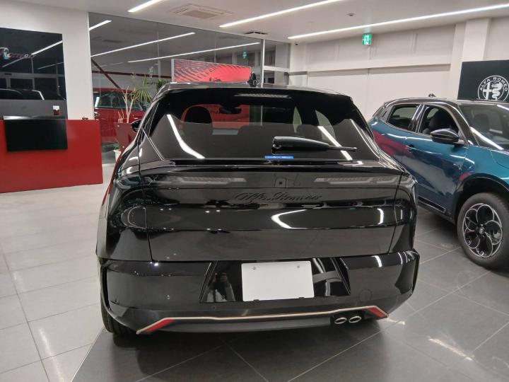 JUNIOR Ibrida INTENSA