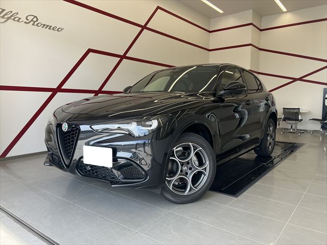 STELVIO 2.0 TURBO Q4 SPRINT