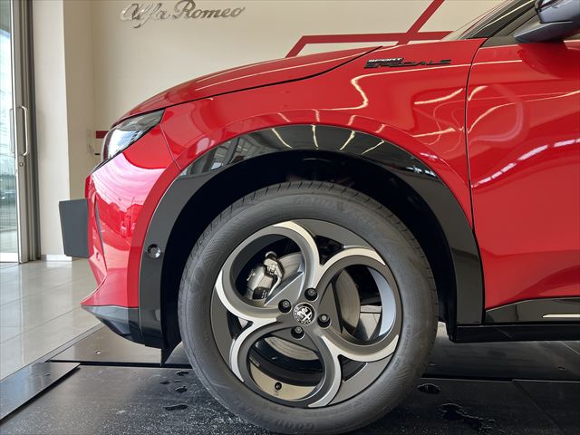JUNIOR Ibrida SPORT SPECIALE