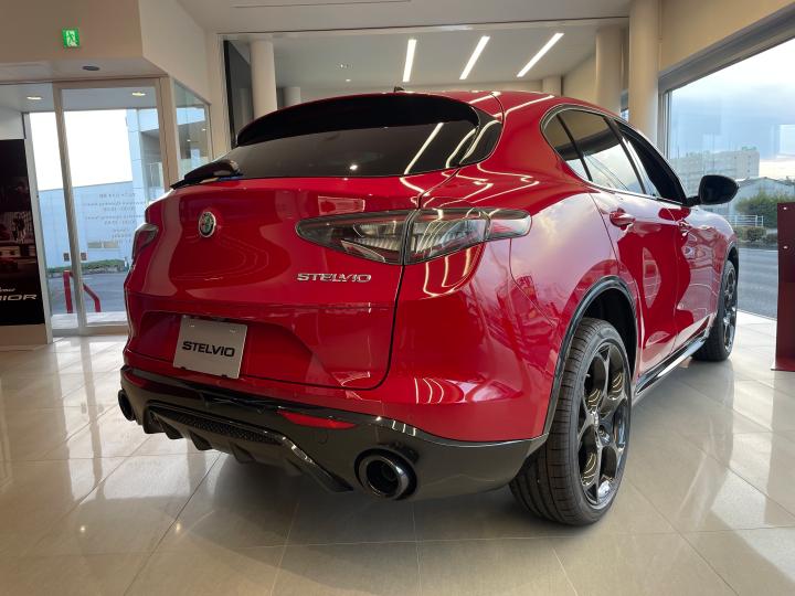 STELVIO TRIBUTO ITALIANO