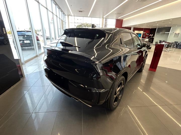 JUNIOR Ibrida INTENSA