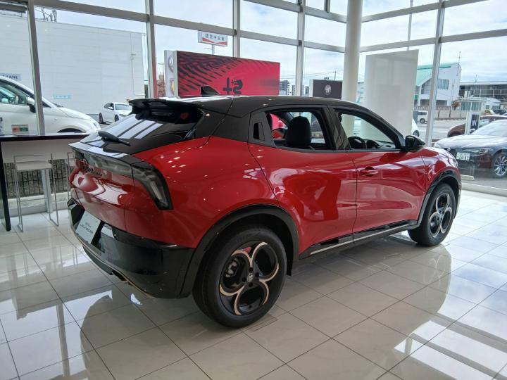 JUNIOR Ibrida INTENSA