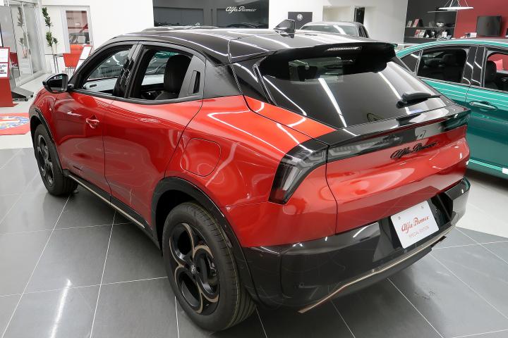 JUNIOR Ibrida INTENSA