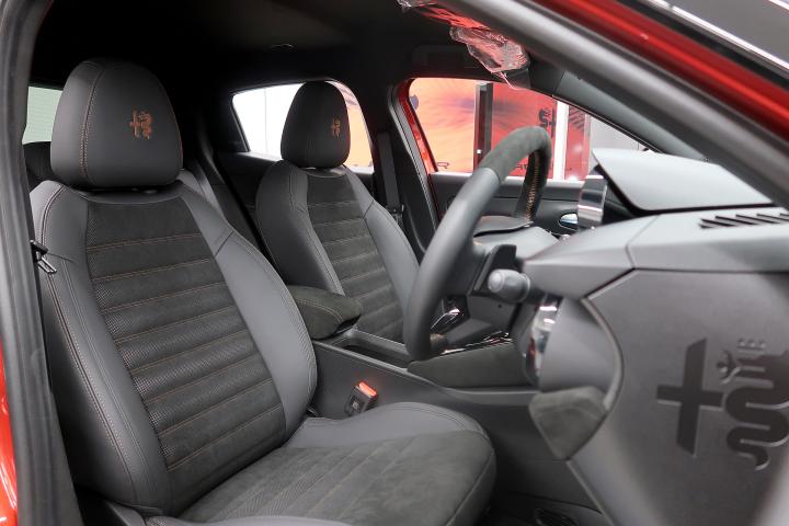 JUNIOR Ibrida INTENSA