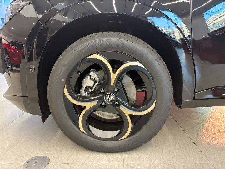 JUNIOR Ibrida INTENSA