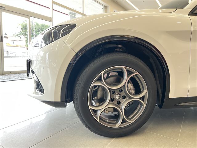 STELVIO 2.0 TURBO Q4 SPRINT
