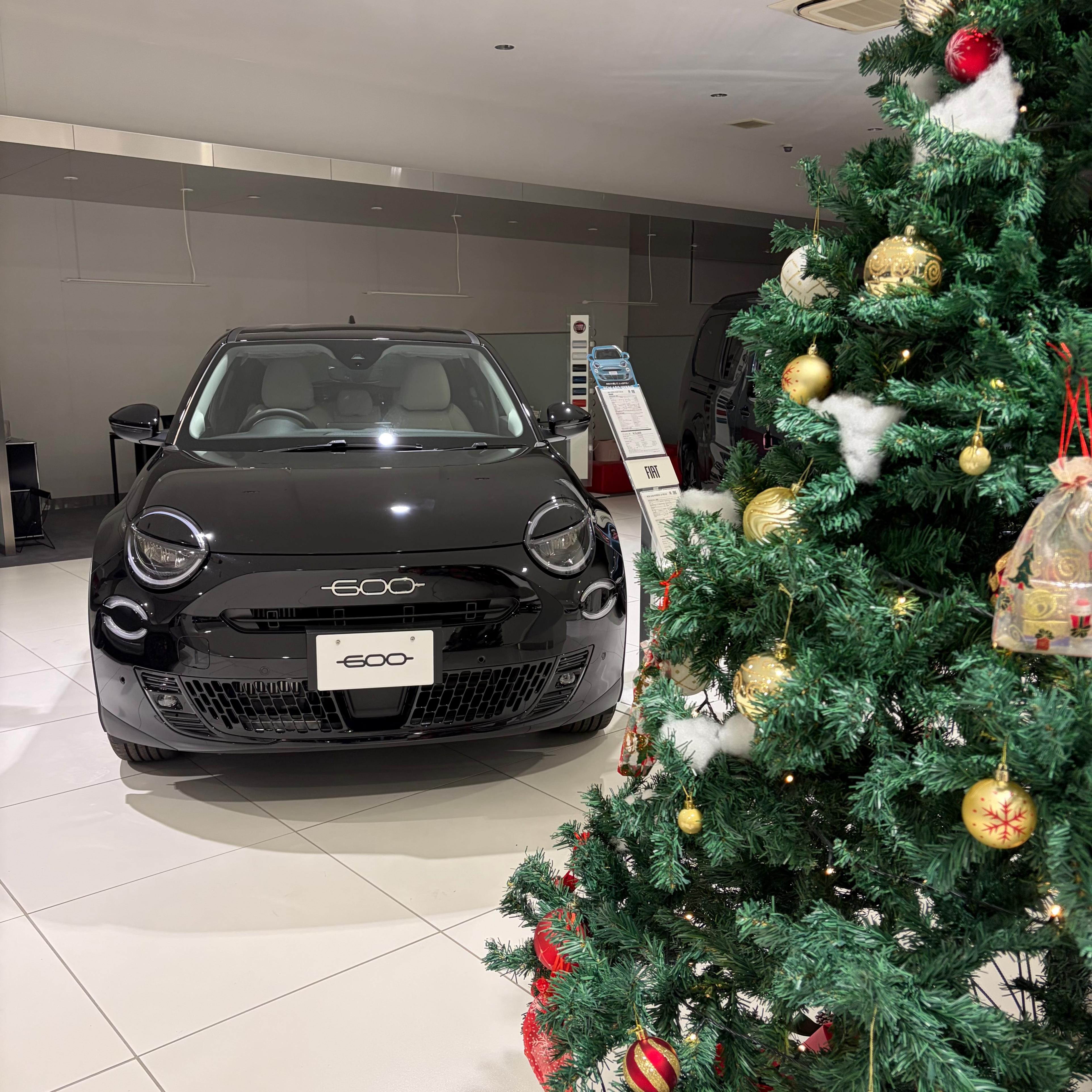 ◇600 Hybrid Nero Cinema デビューフェア◇