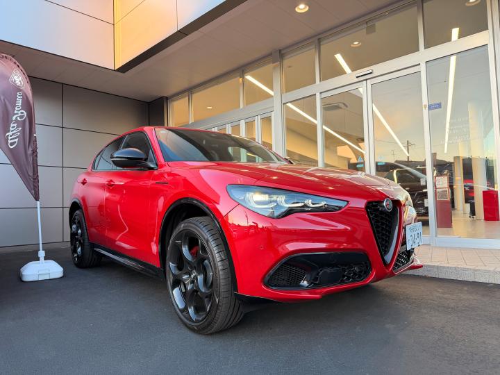 STELVIO 2.0 TURBO Q4 COMPETIZIONE