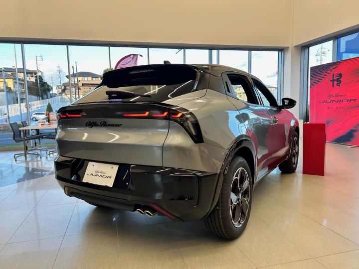 JUNIOR Ibrida PREMIUM